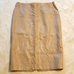 Zara Large Skirt